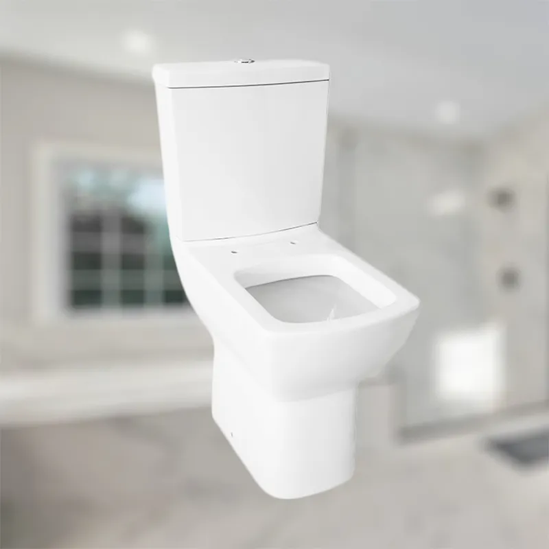 Chinese Tangshan OEM ceramic sanitary toilet