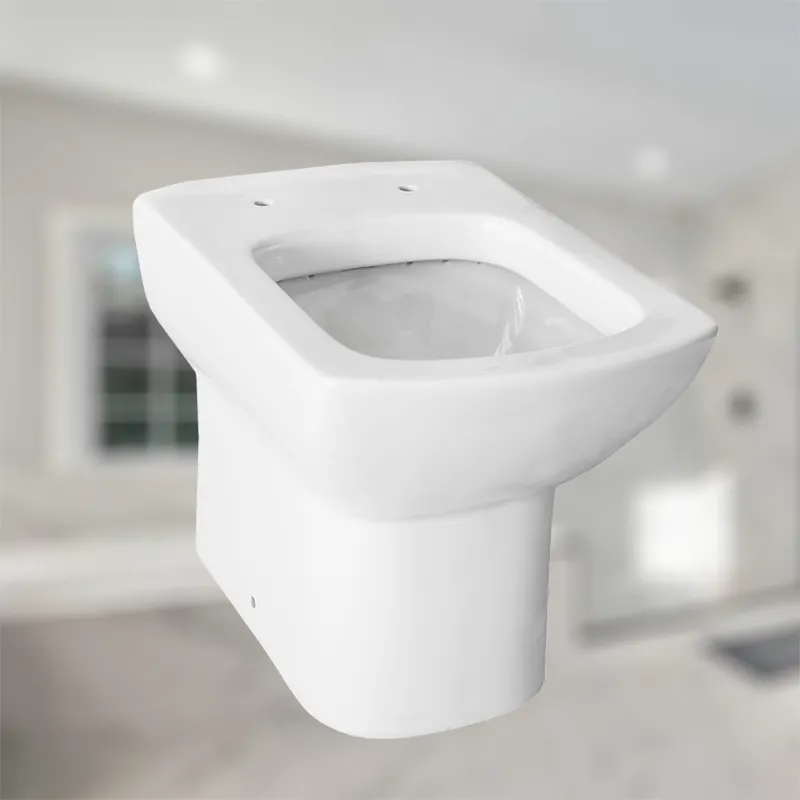 Toilet Manufacturers European  Back To Wall WC pan
