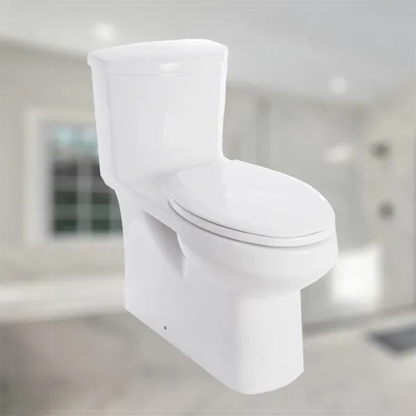 High Efficiency one piece Toilet in White Slow-Close