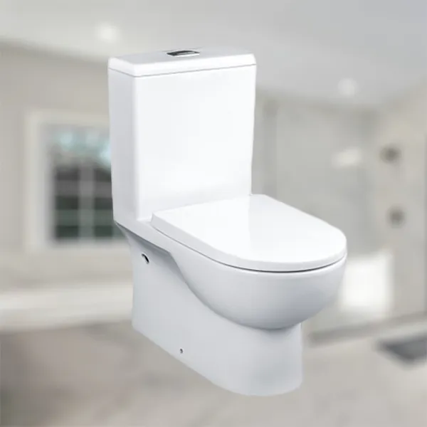 One-Piece Siphonic Action Water Closet