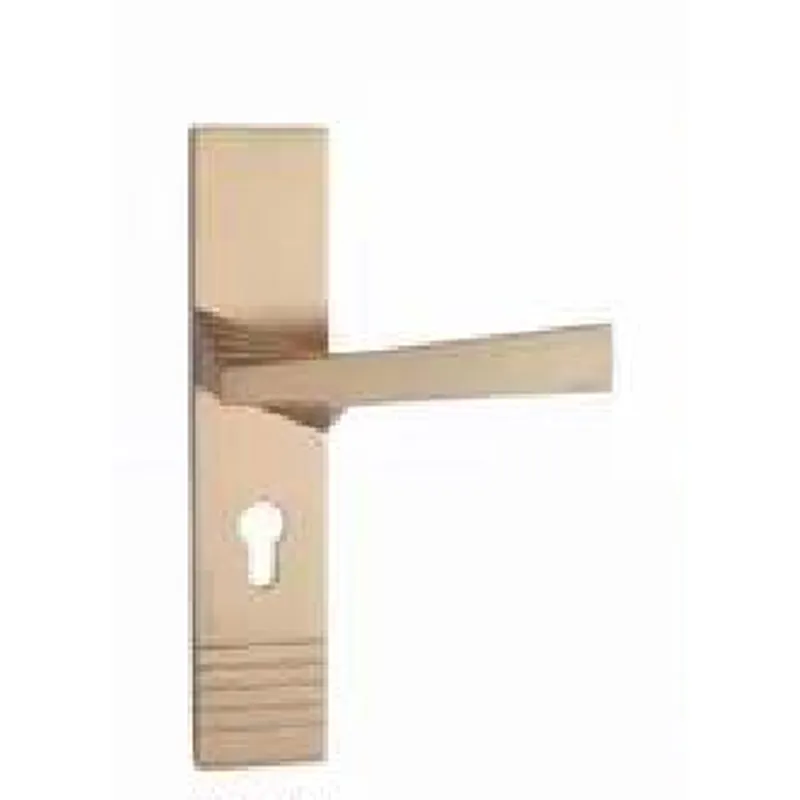 Door handle|Takallianz Hardware