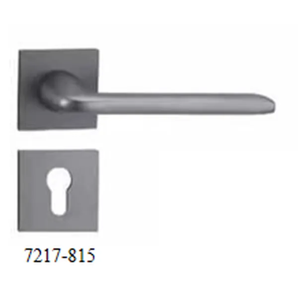 Door handle|Takallianz Hardware