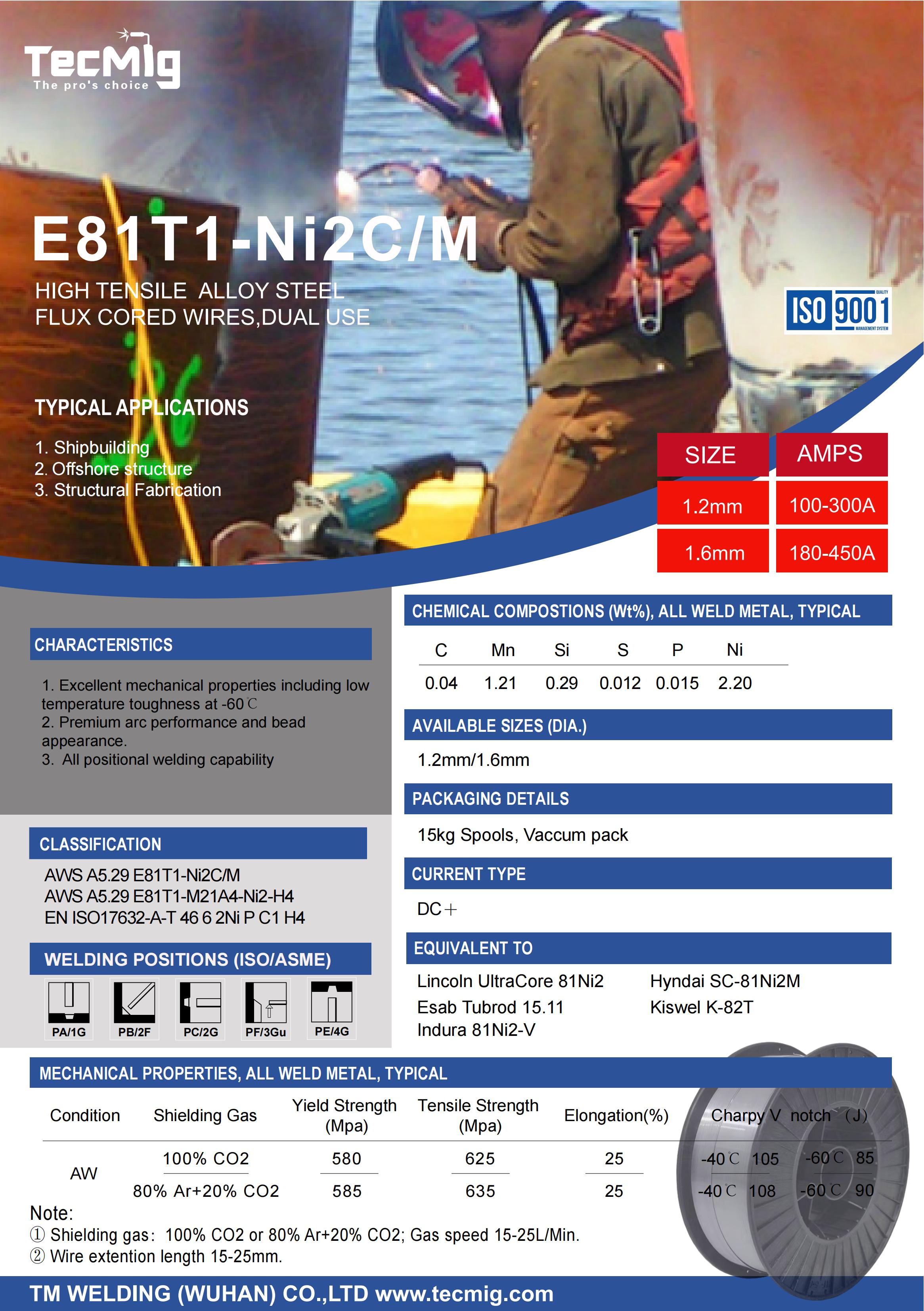 TecMig E81T1-Ni2C.jpg