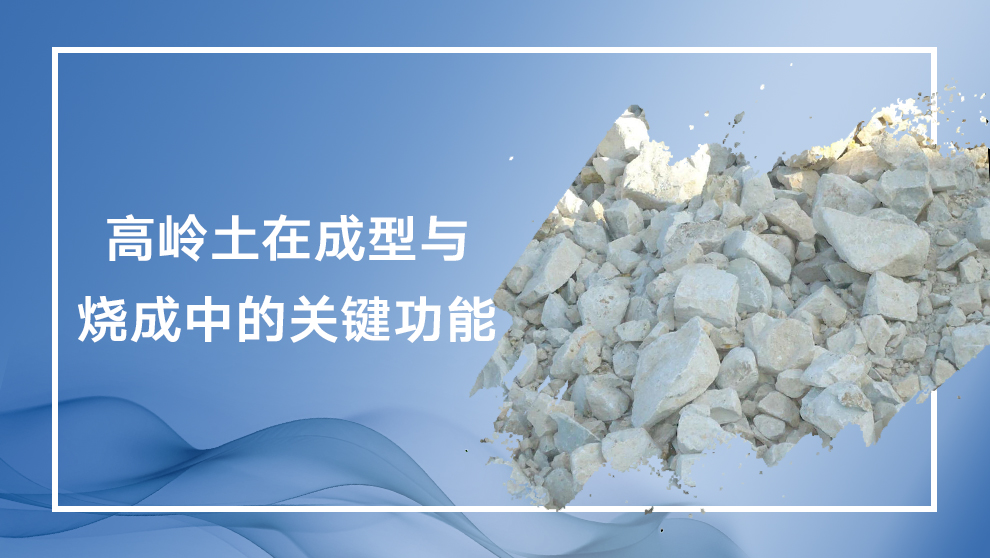 高岭土在陶瓷成型与烧成中的核心作用解析 | 提升塑性、强度与白度