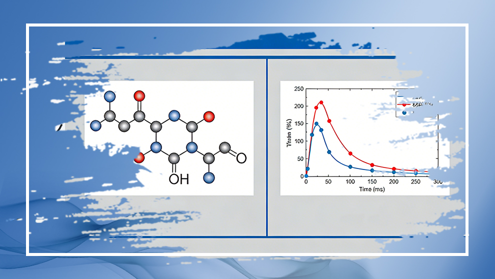 陶瓷烧成：粘结剂影响与优化工艺