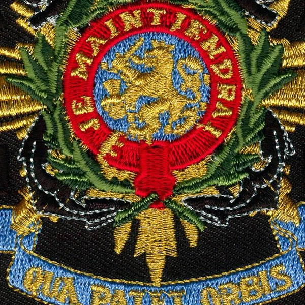 metallic embroidered badges, velcro embroidered patches for uniforms