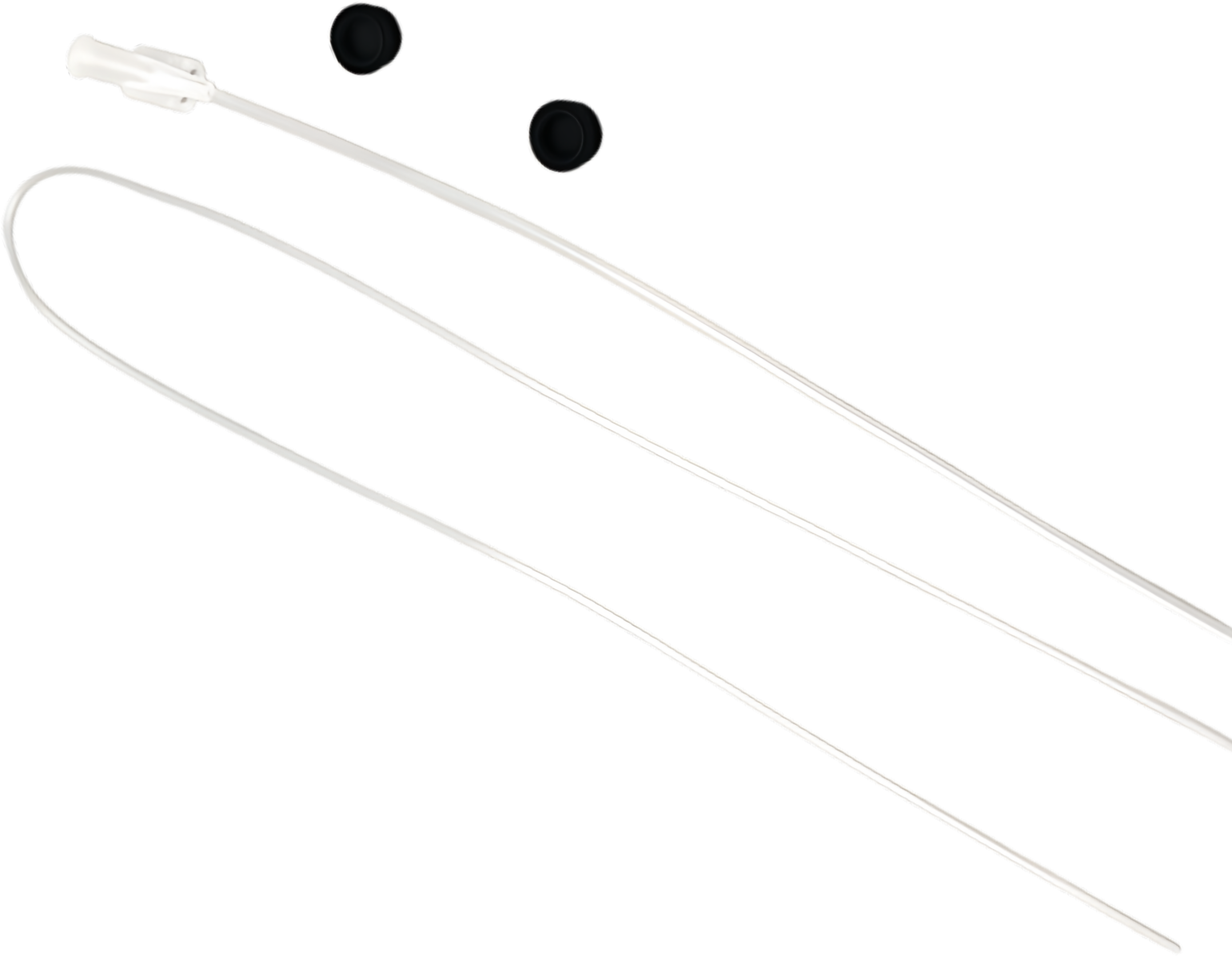 Vet Subclavian Catheters
