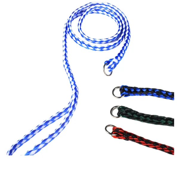 Heavy-Duty Braided Dog Lead - 5 ft (154 cm)