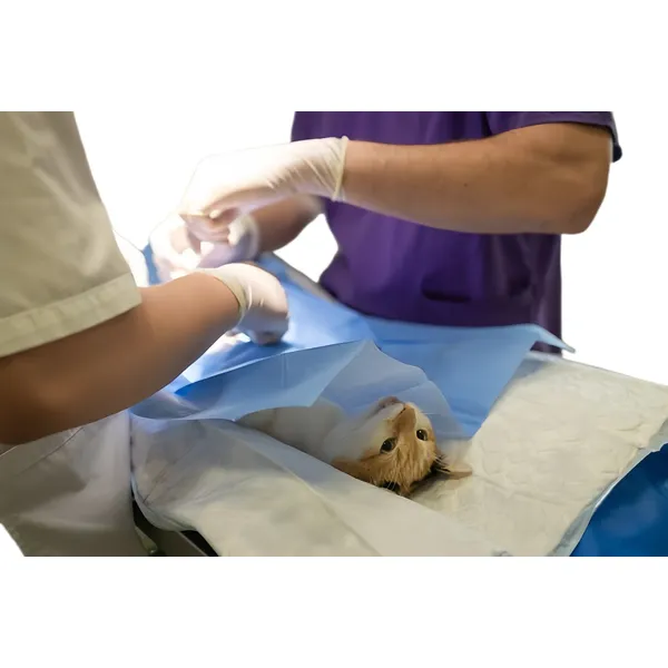 Pet sterile Aperture Drape