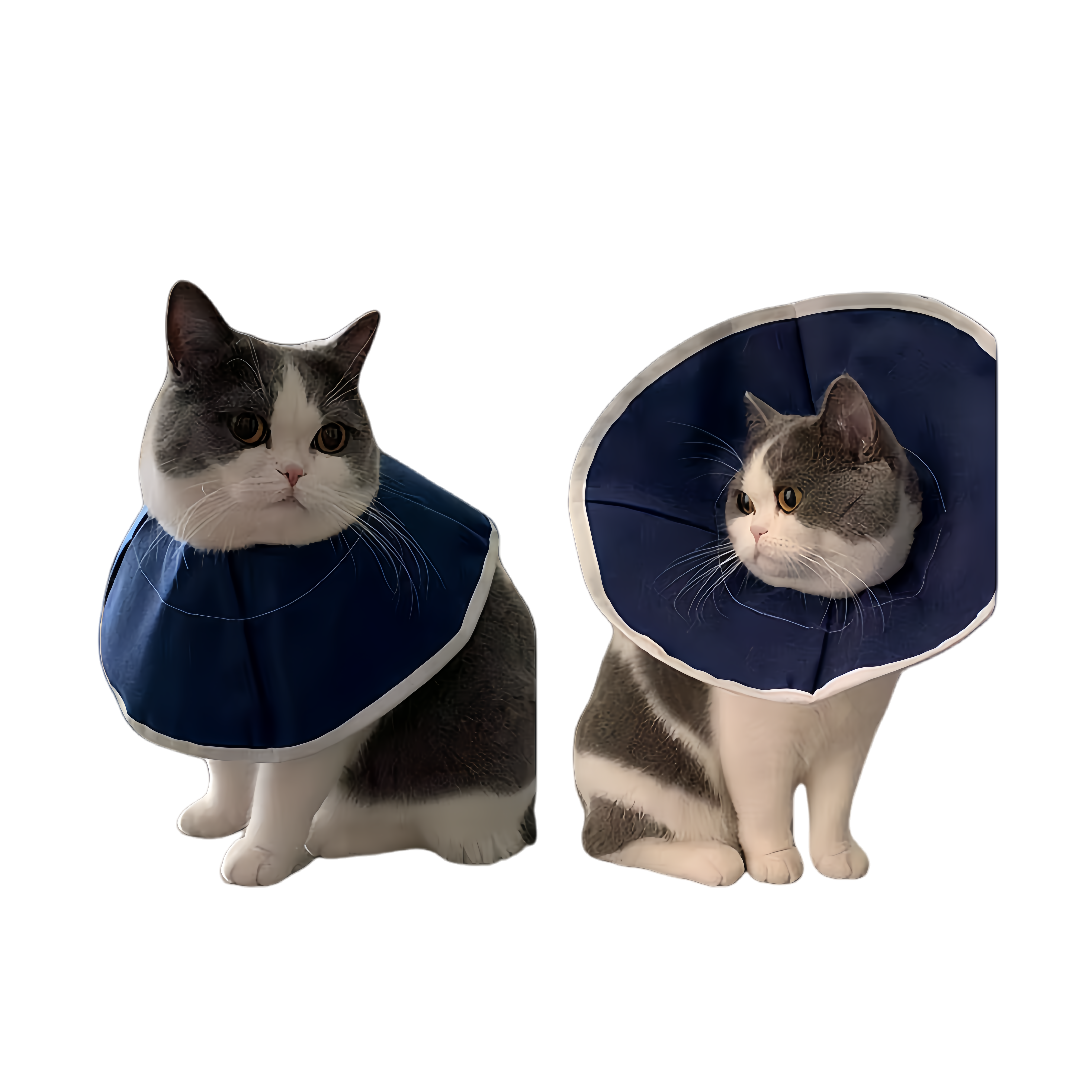 Non-woven Pet E-collar