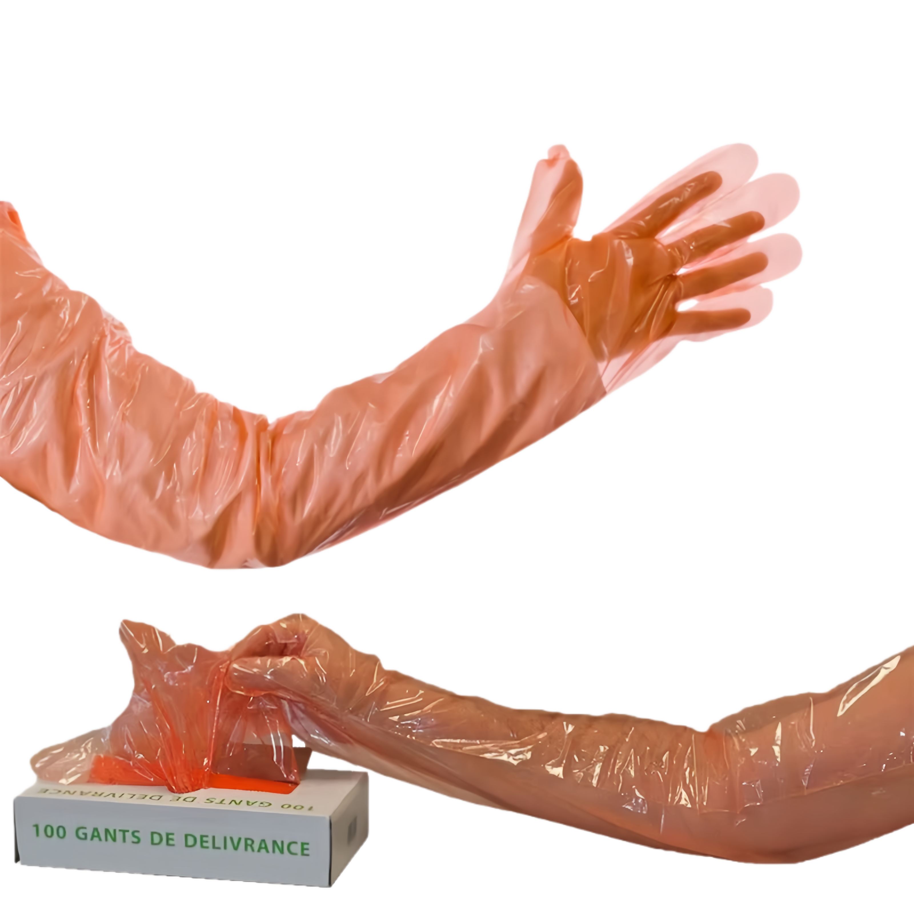 Disposable Examination Gloves