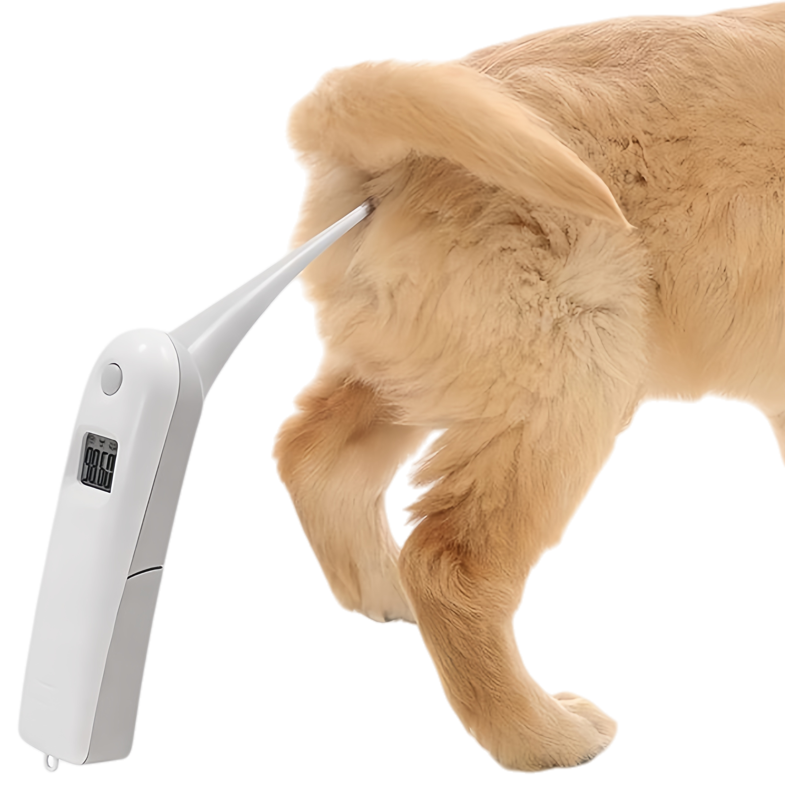 Veterinary High Precision Animal Rectal Thermometer 