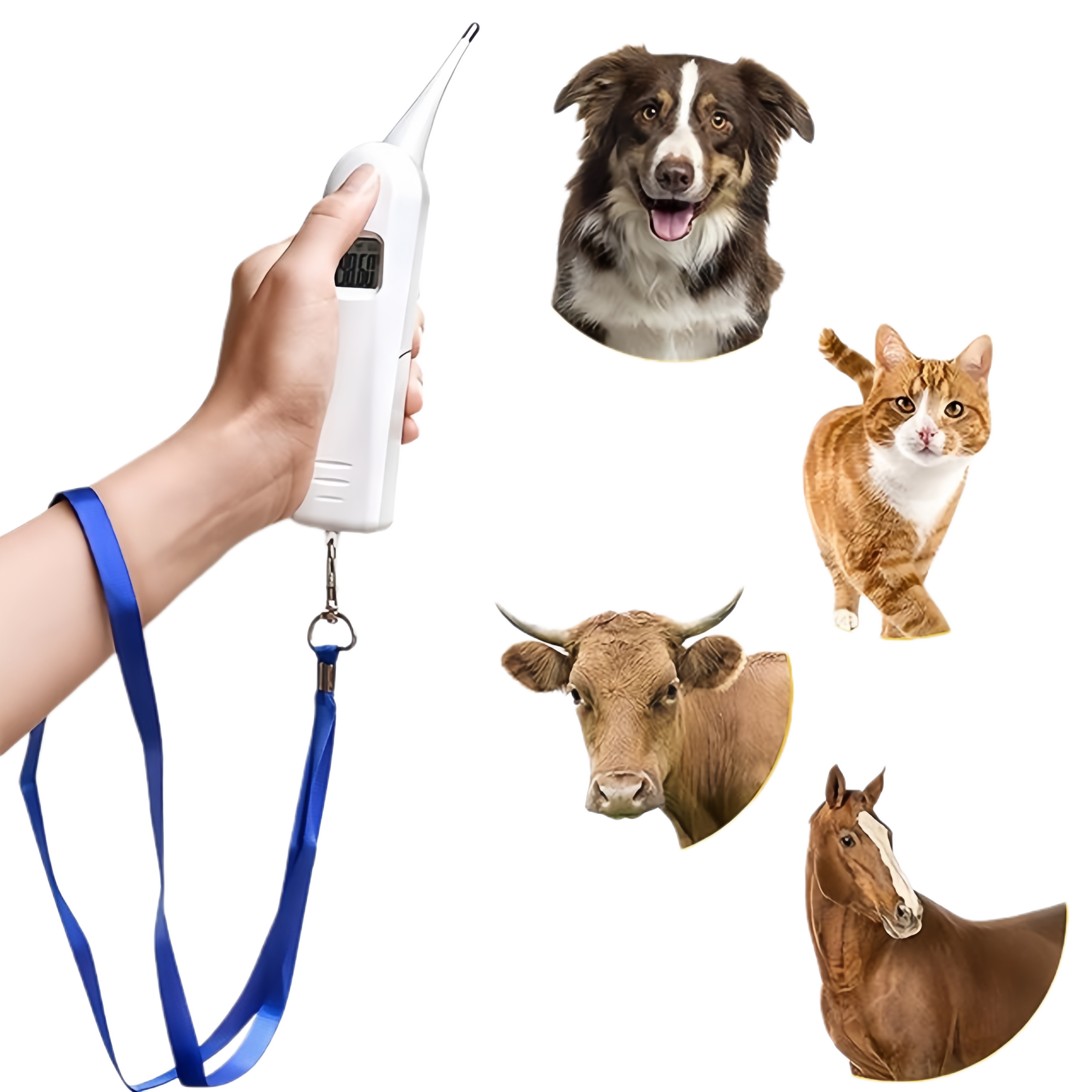 Veterinary High Precision Animal Rectal Thermometer 