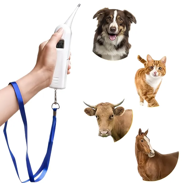 Veterinary High Precision Animal Rectal Thermometer 
