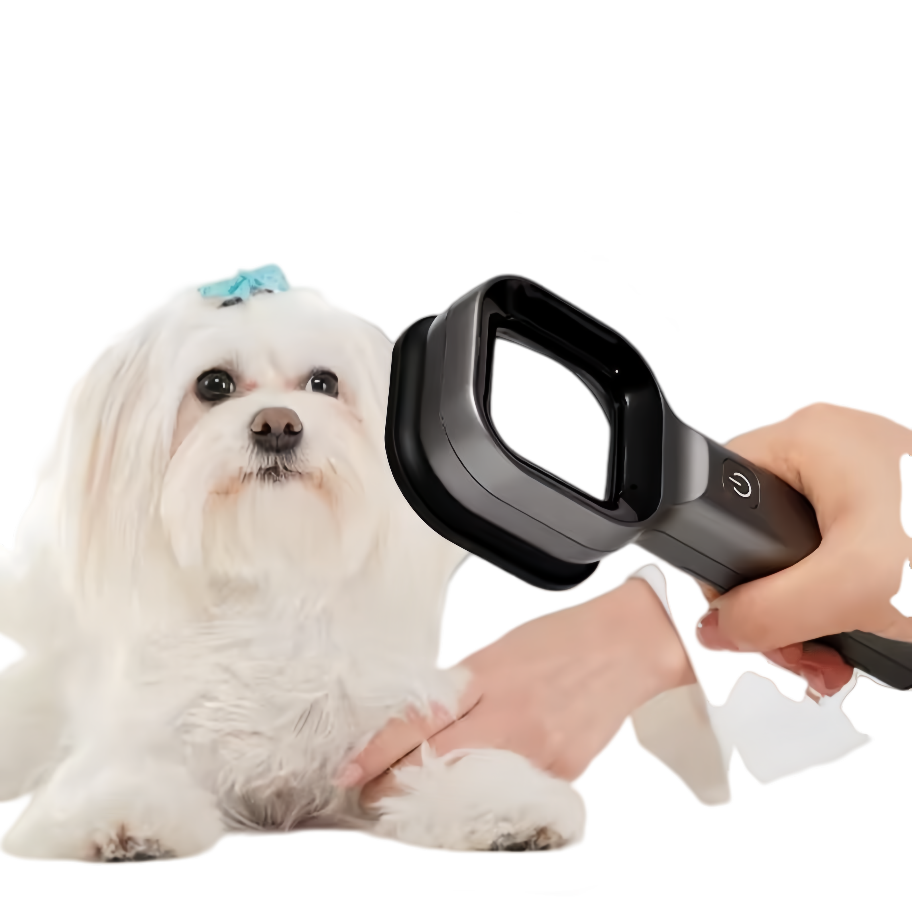 Premium Pet Wood's lamp with magnifier