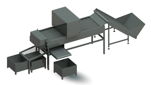 visual inspection for cherry tomato sorting