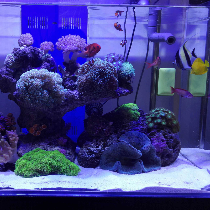 Fish tank bottom sand Fish tank decoration White sand Stone Aquarium bottom sand