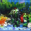 Fish Tank Landscape Stone Glass Stone