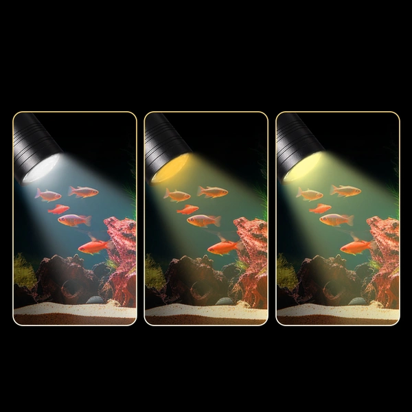 South American small fish tank spotlight