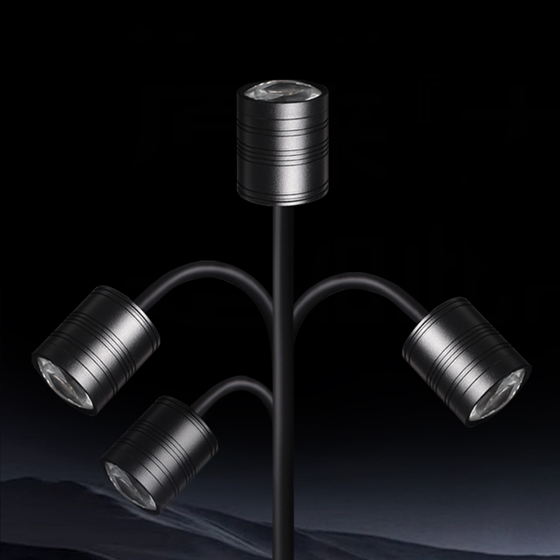 South American small fish tank spotlight