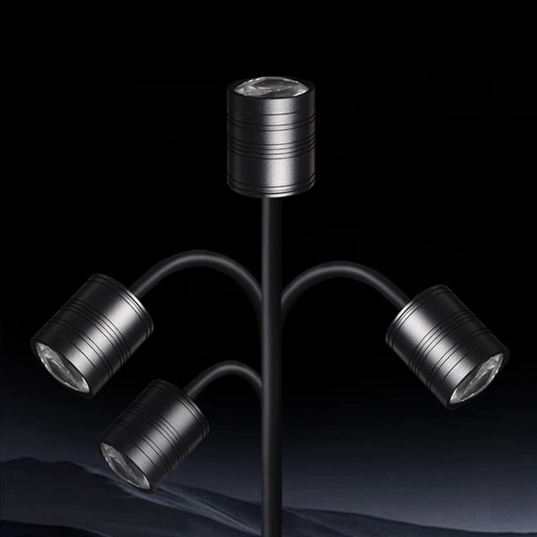 South American small fish tank spotlight