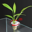 Hydroponic plant planting cup water grass cup