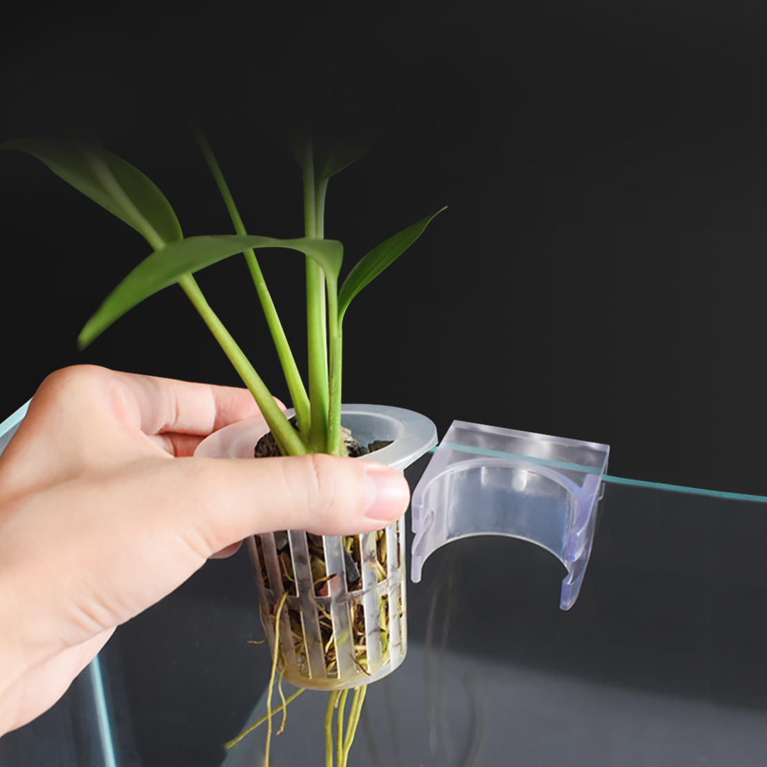 Hydroponic plant planting cup water grass cup