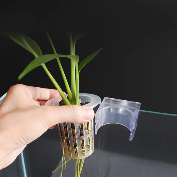 Hydroponic plant planting cup water grass cup