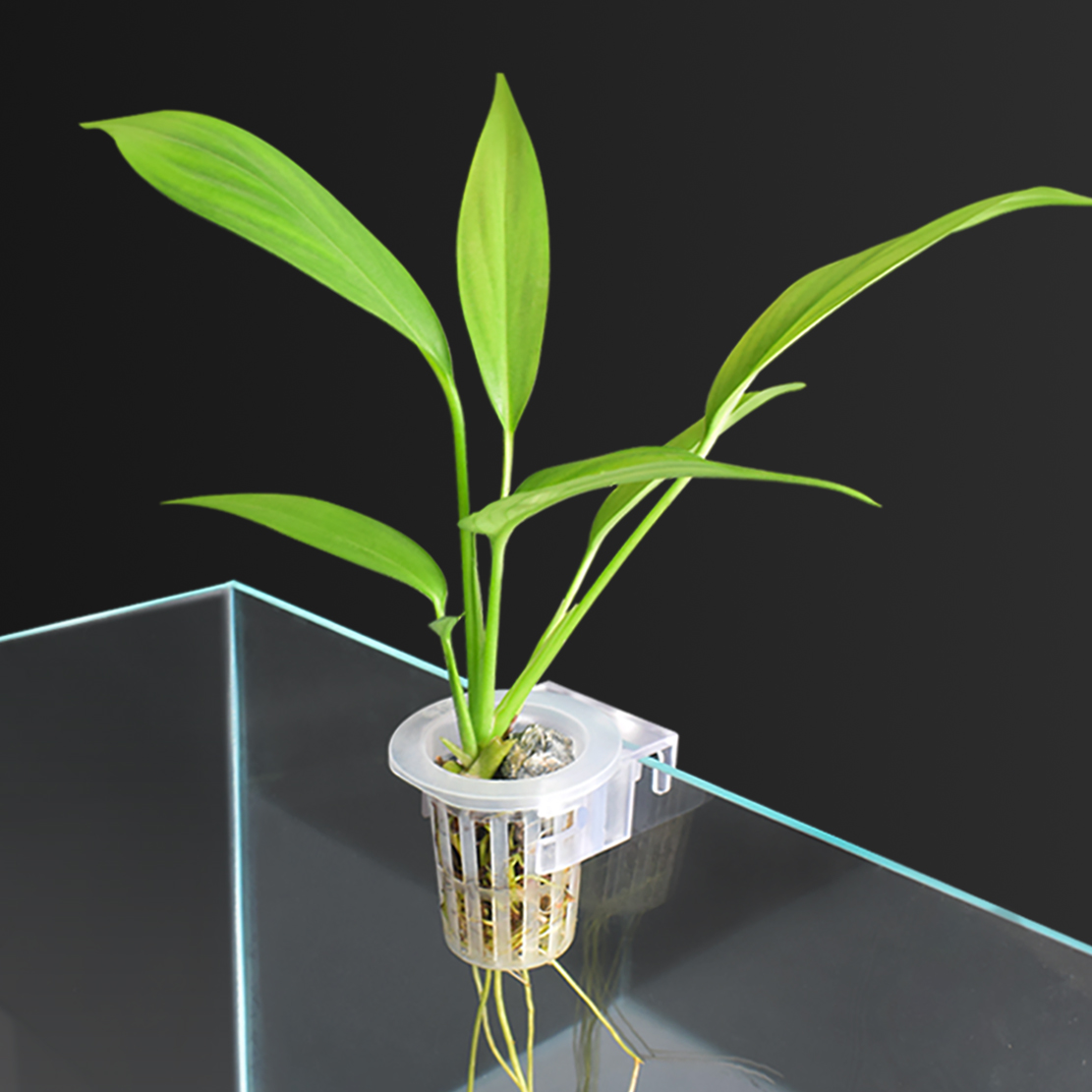 Hydroponic plant planting cup water grass cup