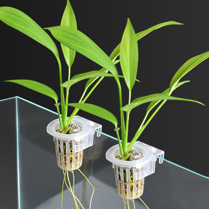 Hydroponic plant planting cup water grass cup