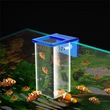Fish tank feeding ring