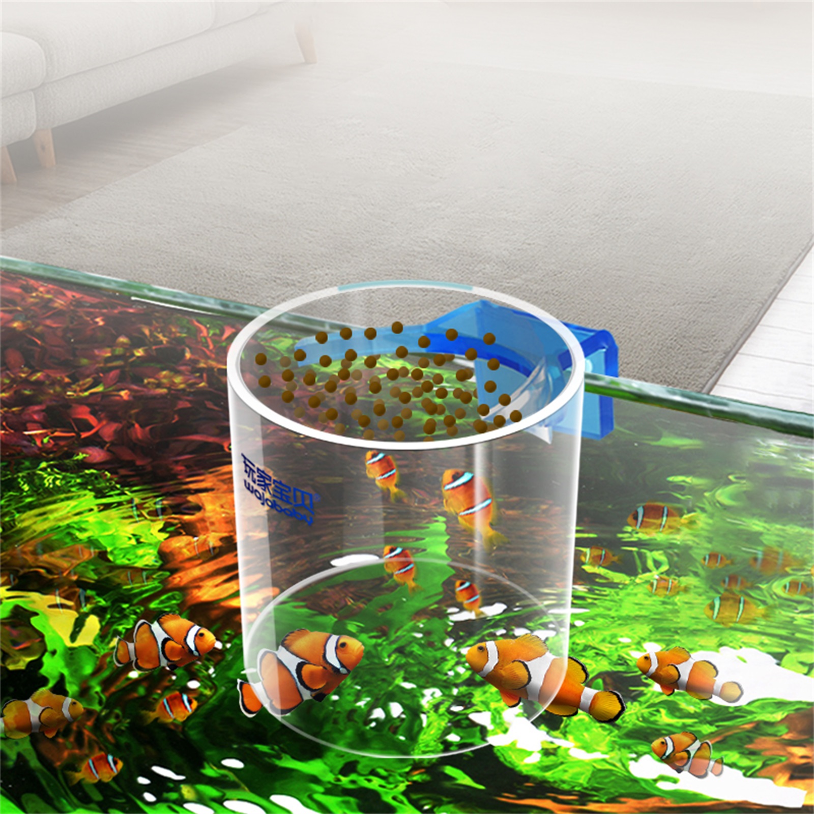 Fish tank feeding ring