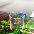 Fish tank feeding ring