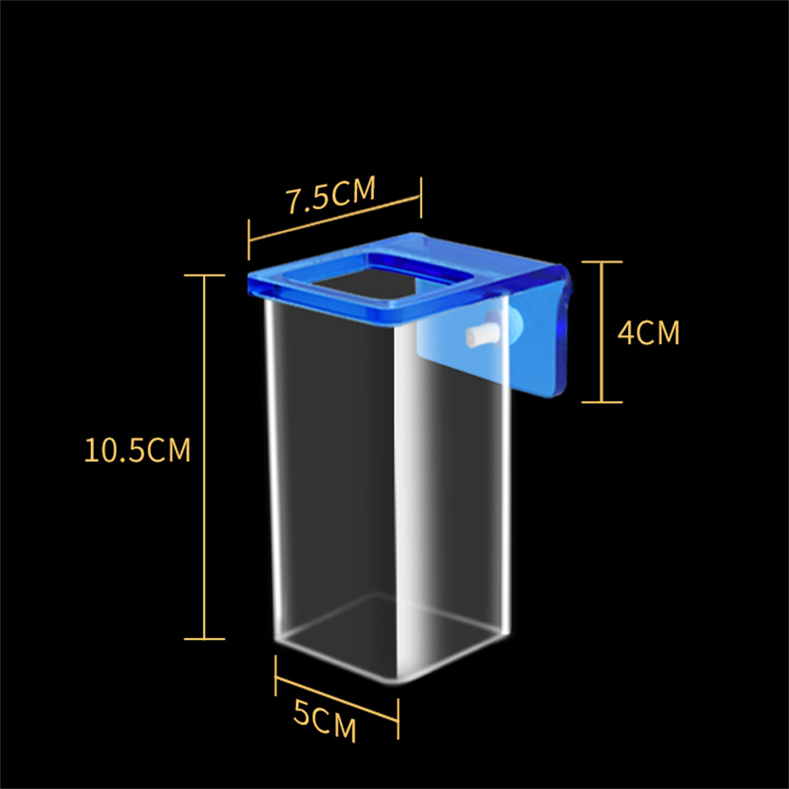 Fish tank feeding ring