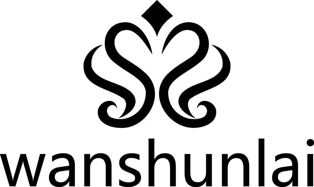 Home use ice point laser IPL hair removal device, high-speed hair dryer, radiofrequency generator, skin scraper, straightening comb, fascia gun