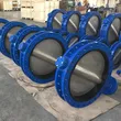 DN50 DN700 DI CF8M Flange butterfly valve 