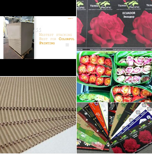 WEST RIVER 2Ply Corrugated Cardboard Making machine make colorful package for customer flower package