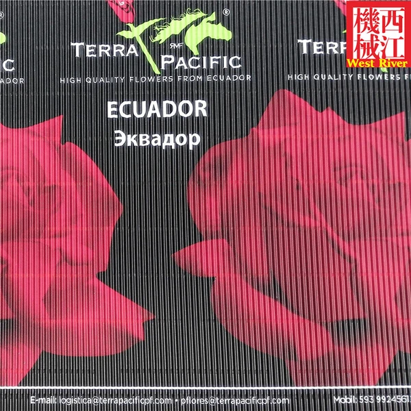 single face corrugated machine