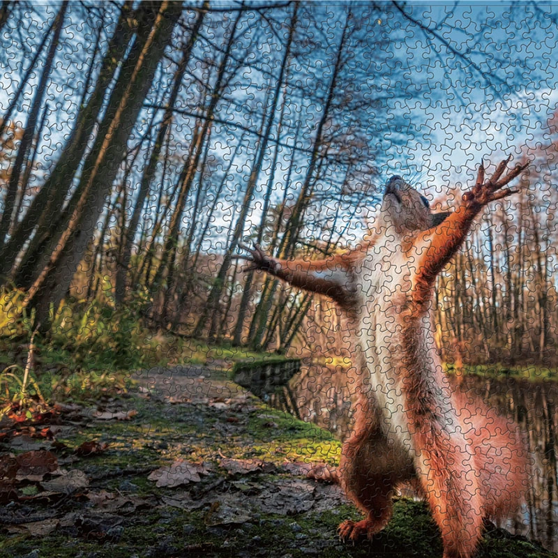  Custom Puzzle Game 1000 Pieces Jigsaw Puzzles for Adult Kids