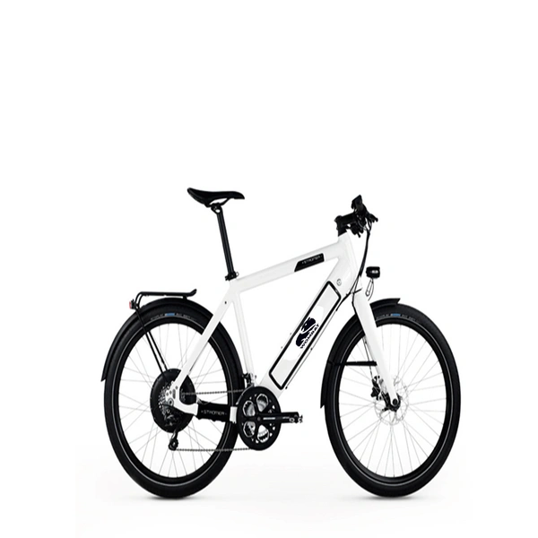 Electric Bike Battery