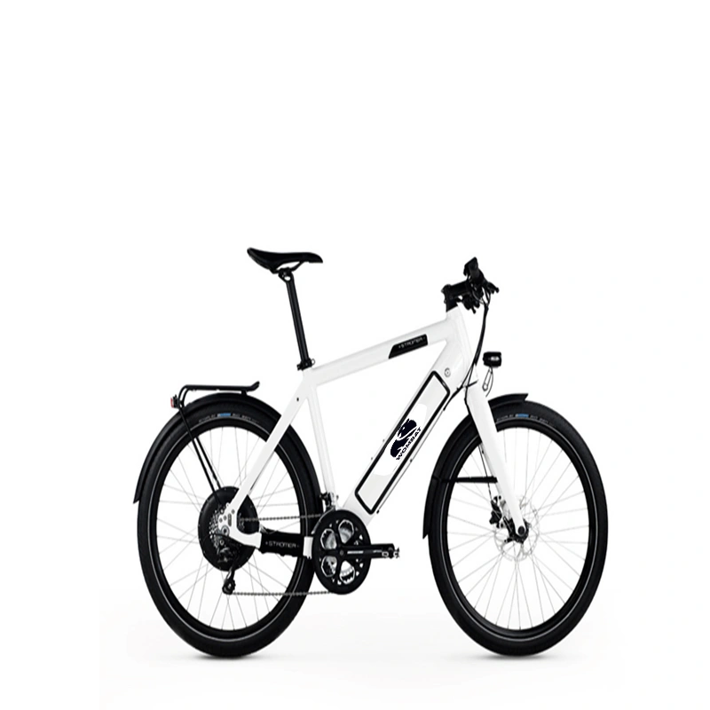 Electric Bike Battery