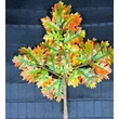 Artificial camphor tree leaves ZSY for indoor outdoor decoration