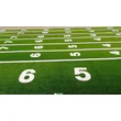 Number Grass Carpet