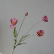artificial poppy flower for home wedding decoration