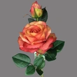 artificial rose for decoration