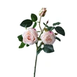 artificial rose for decoration