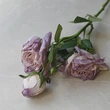High simulated dried rose flower