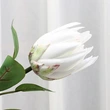 High quality small hand feel artificial protea cynaroides flowers for decoration
