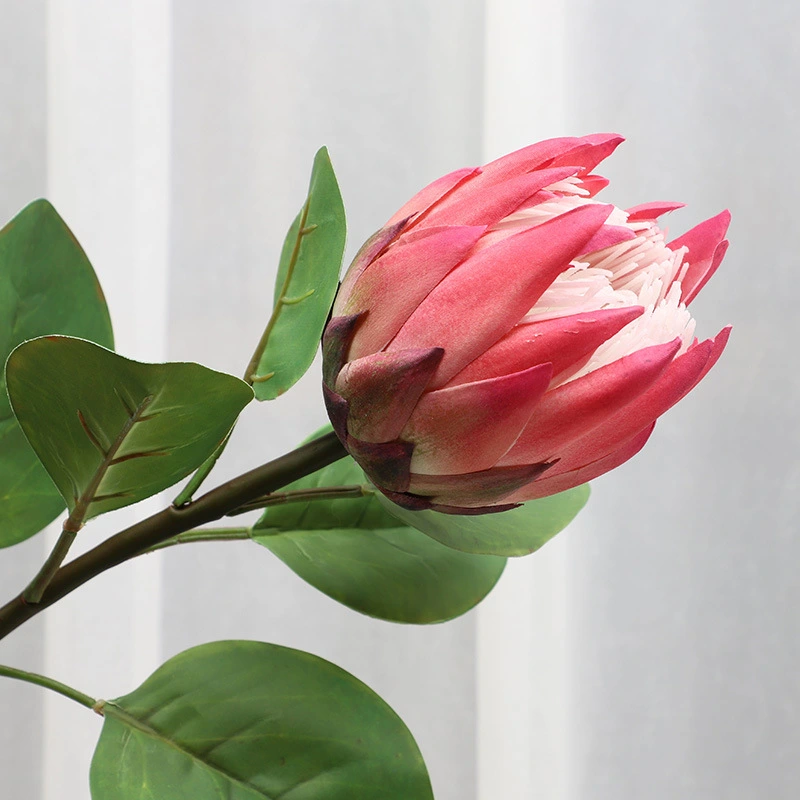 High quality small hand feel artificial protea cynaroides flowers for decoration