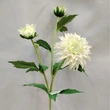 High quality hand feel moisturizing 3 heads dahlia for decoration 